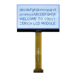 2.9 inch graphic COG display