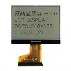 2.9 inch graphic COG display